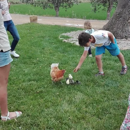 بيت ضيافة Mas Del Tancat 3*